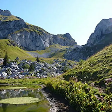 Pied Des Pistes - Bernex